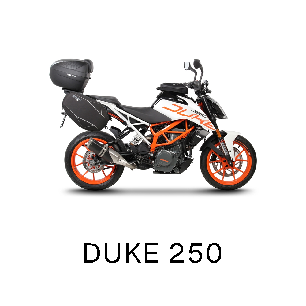 Duke 250
