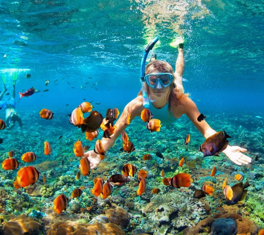 snorkeling