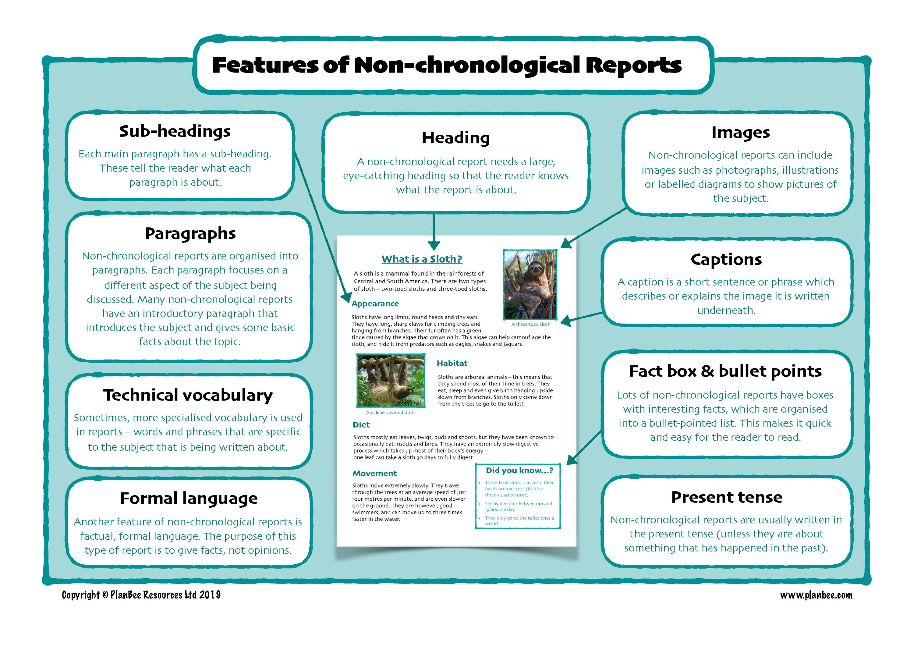 Features of a Non-Chronological Report Poster