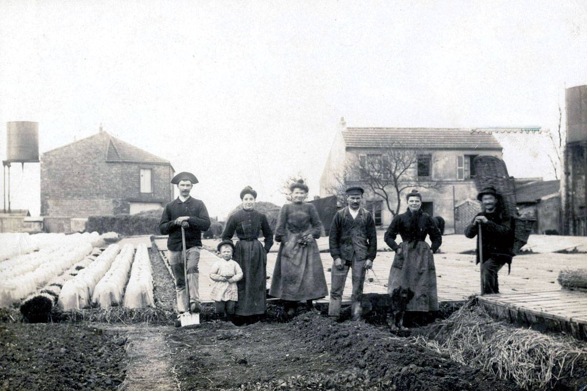 Historic black and white photo of farmers in a field with buildings in the background