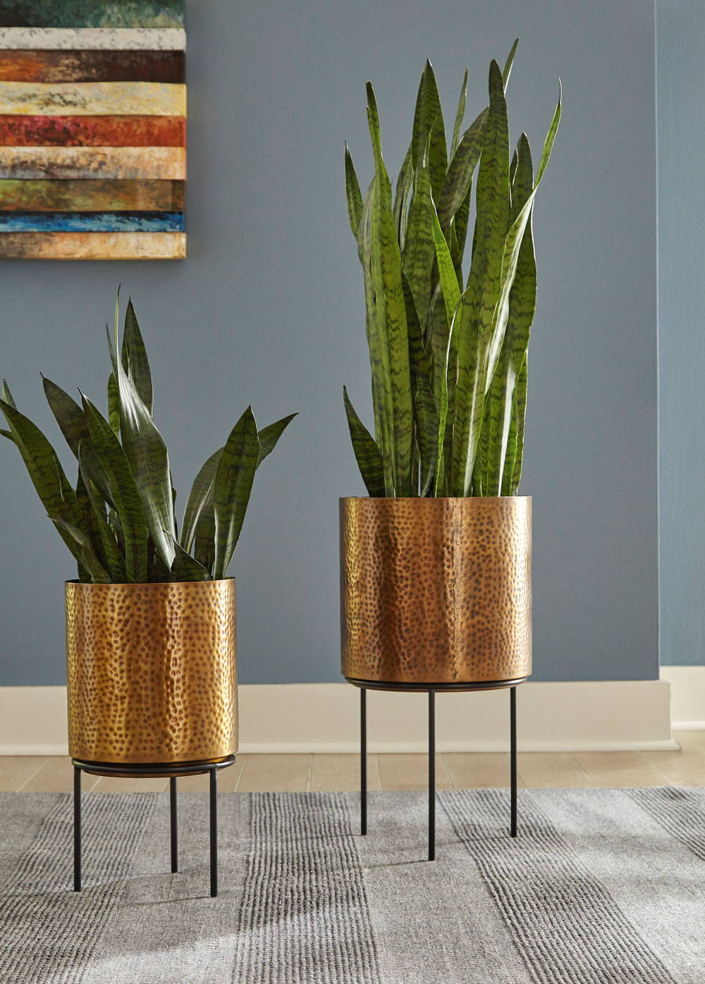Copper plant pots on a grey area rug