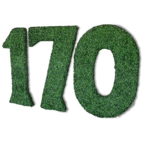 Custom Made UV Rated Boxwood Lettering and Numbers