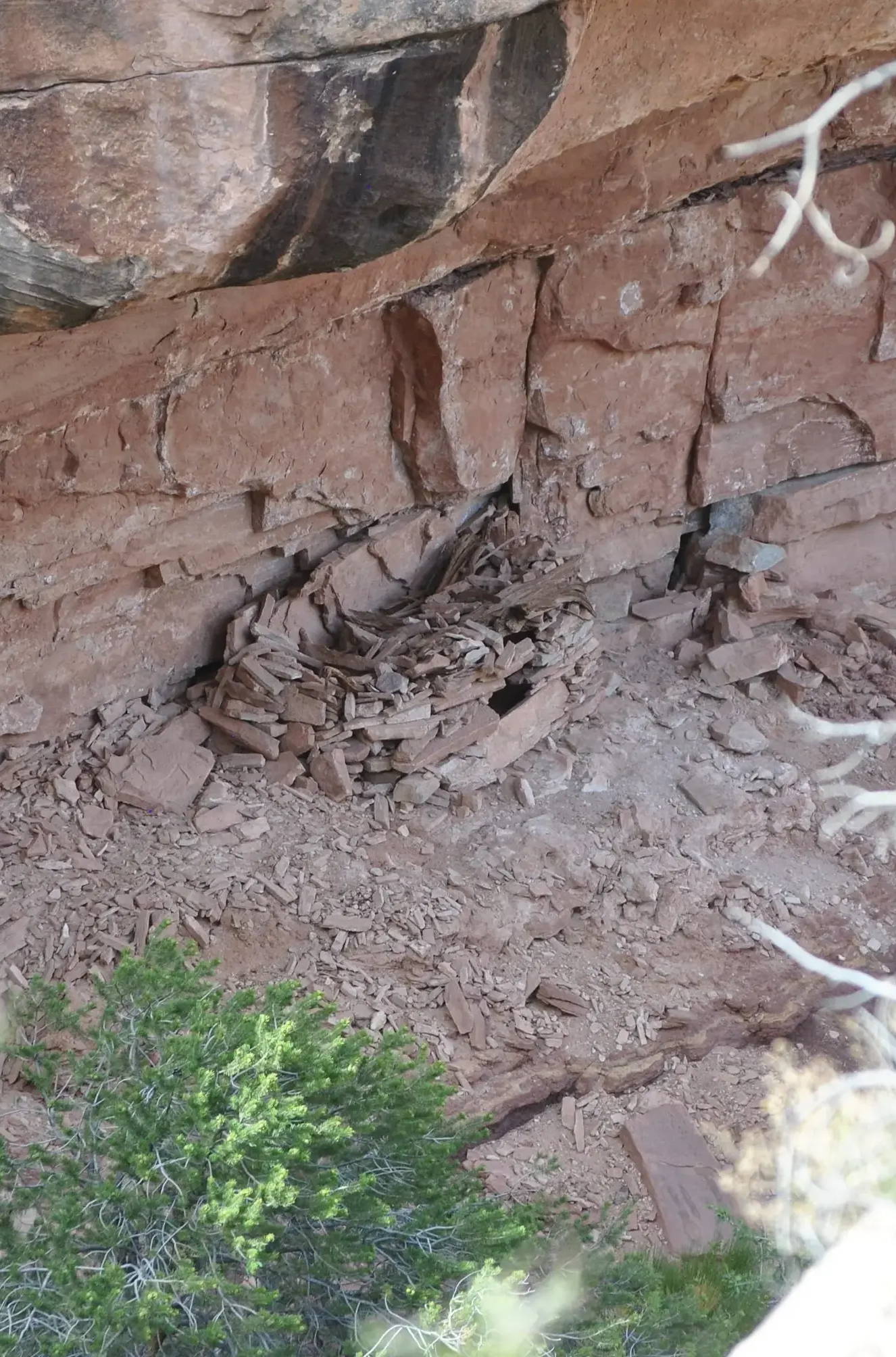 Rock ruins at Druid Arch