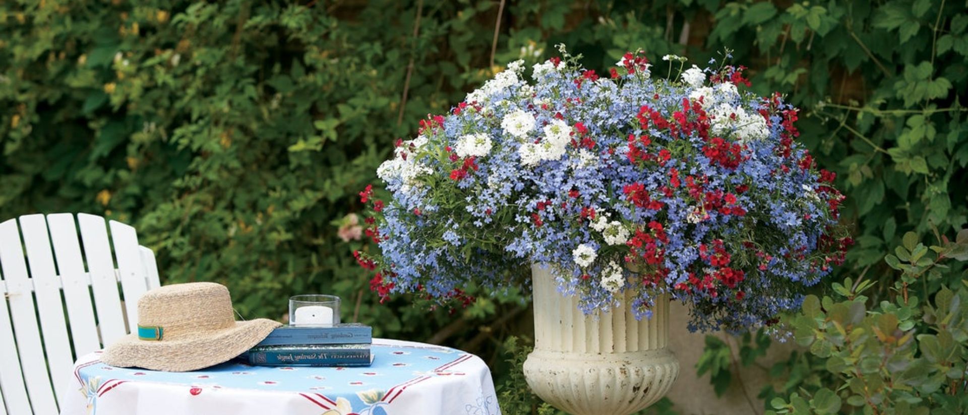 Superbena® Whiteout™, Sunsatia® Cranberry Red, Laguna® Sky Blue