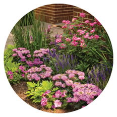 Photo of colorful perennials planted together in a garden