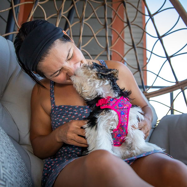 Woman sitting in a chair, playfully interacting with a small dog.