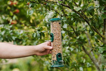 Bird feeder being hung in tree