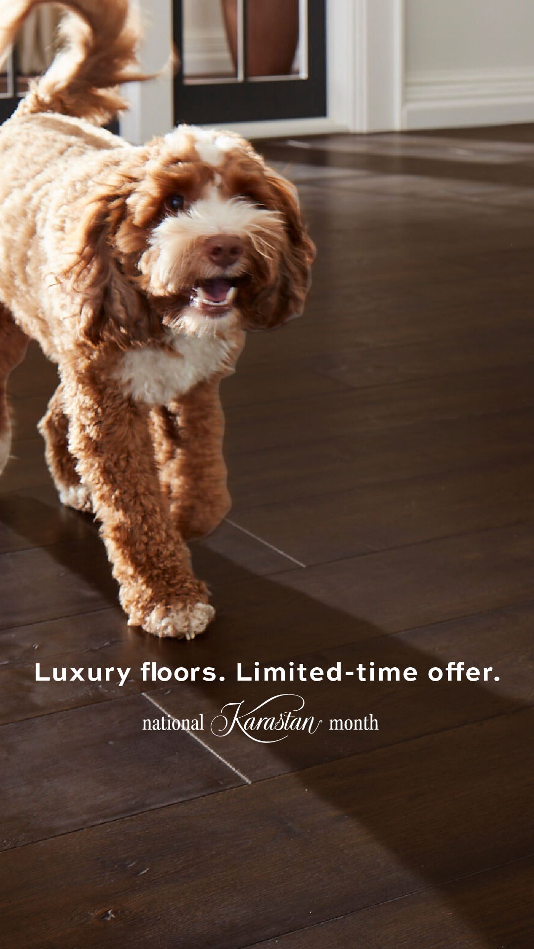 National Karastan Month Limited-time Offer
