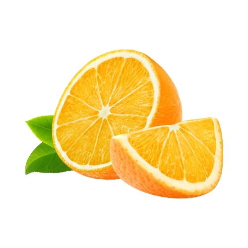 Can dogs eat oranges? Are oranges safe for dogs? Bone Idol Healthy Dog Food