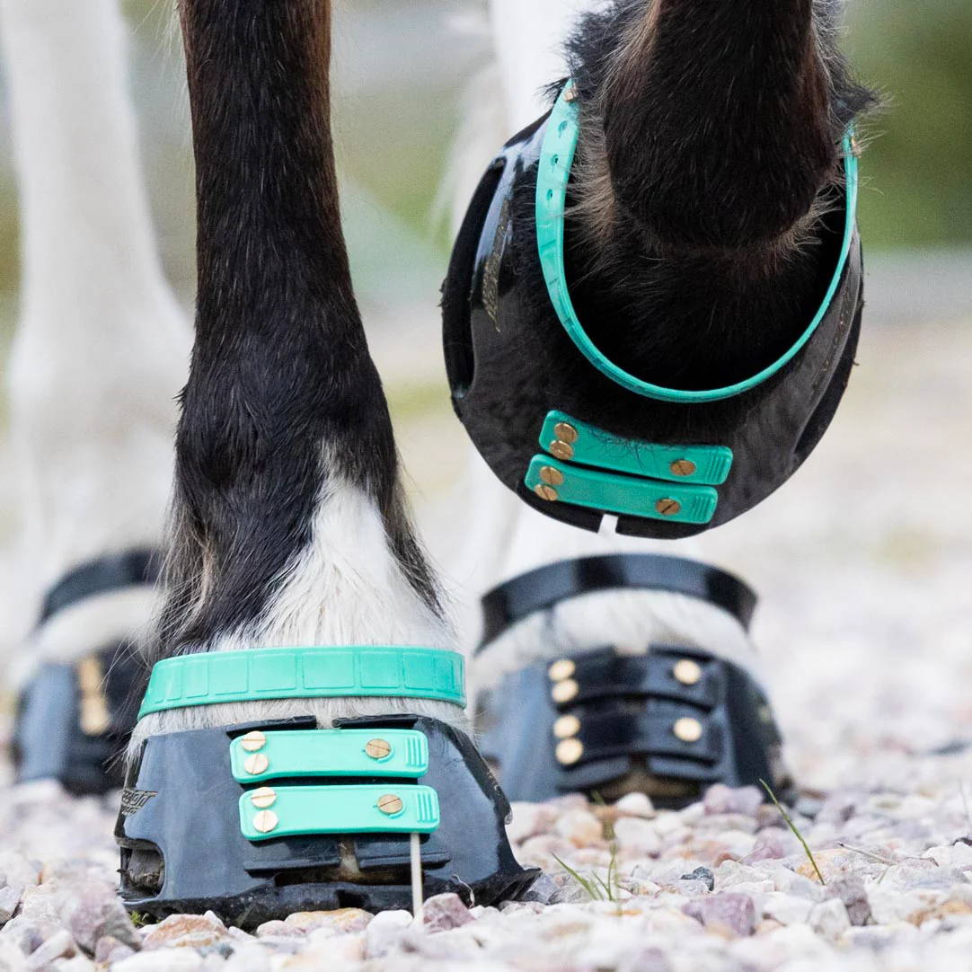 Scootboots hoof boots for barefoot horses Scoot classic with marine straps