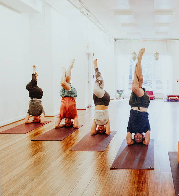 The Best Yoga Studios in the US – Farm Brand USA