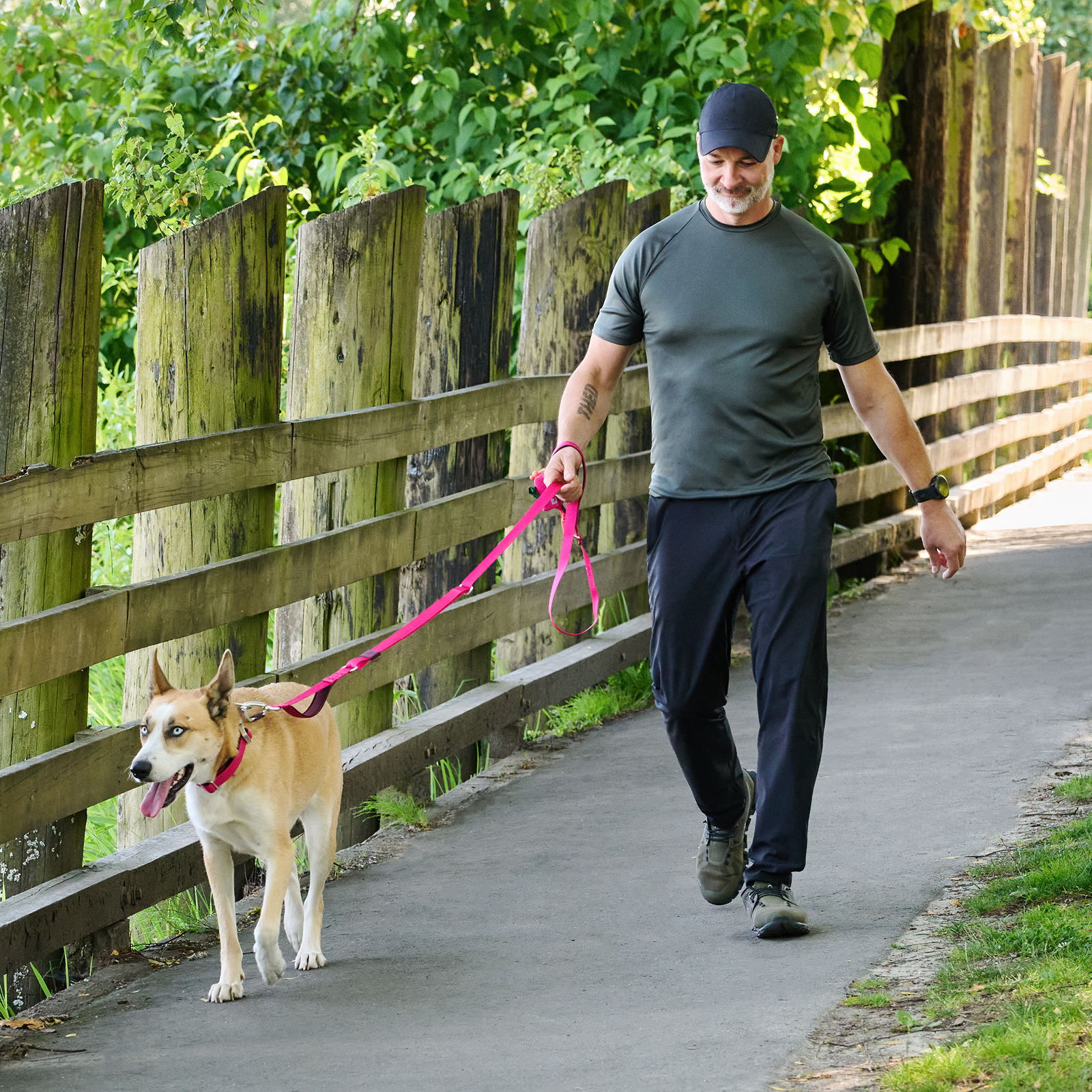 Man walking a dog on a path beside a wooden fence.