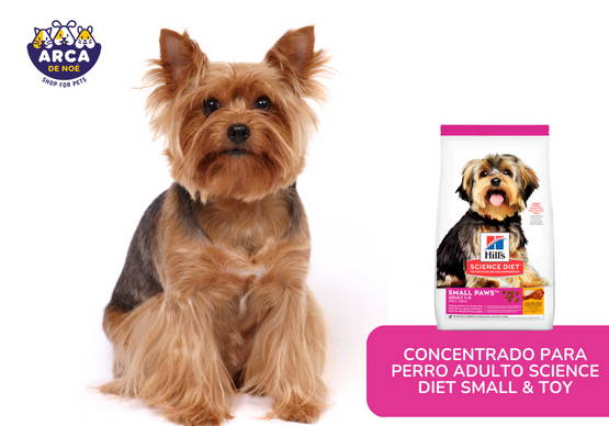 Tesytto Sniff Ball para Perros Juguete Interactivo para Perros Fomenta la  Capacidad de alimentación Natural Entrenamiento de Alimentos lentos