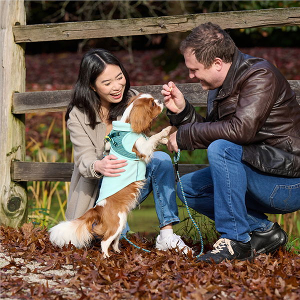 A couple interacts with a small dog in a park setting.