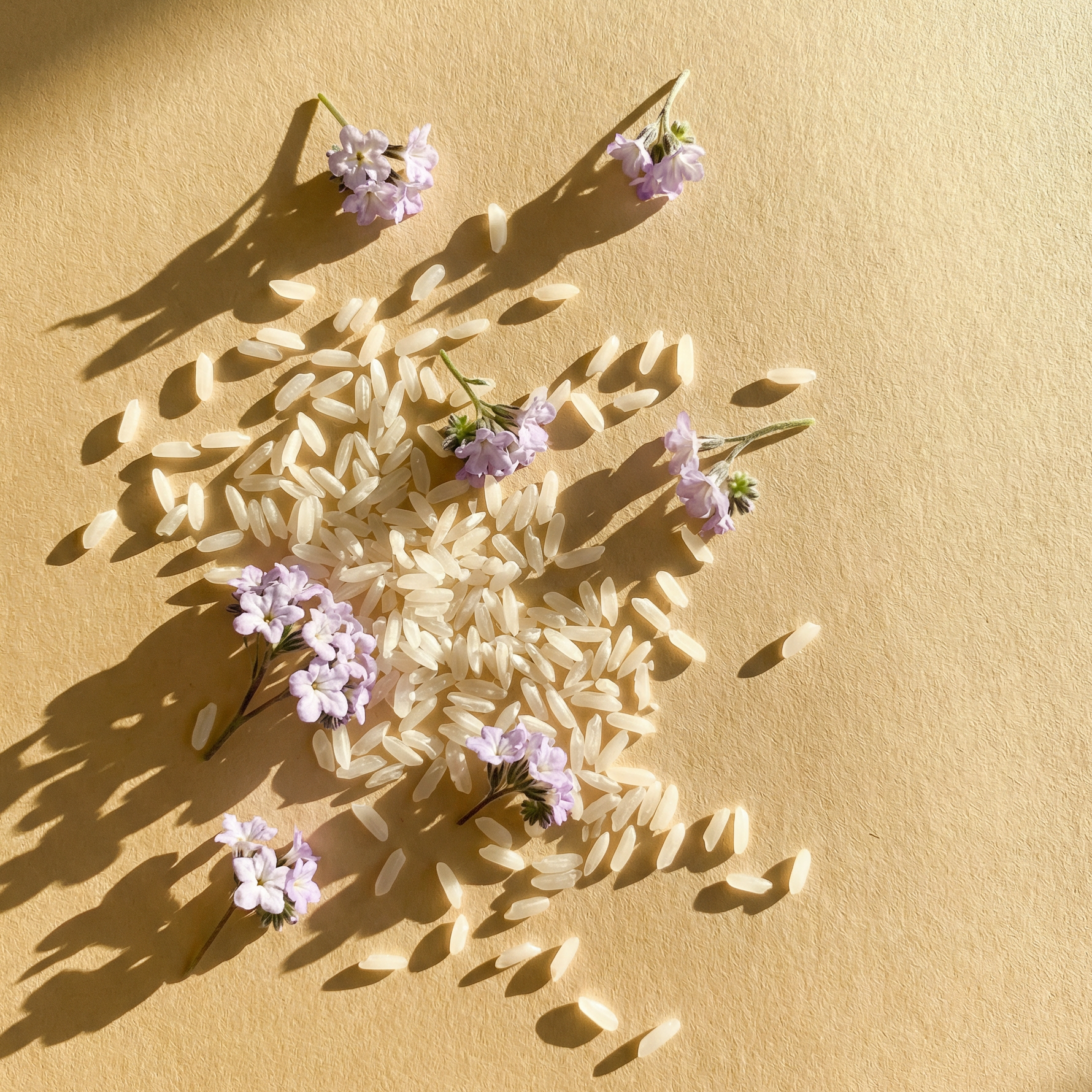 Brown bottle with label surrounded by rice in a glass container.