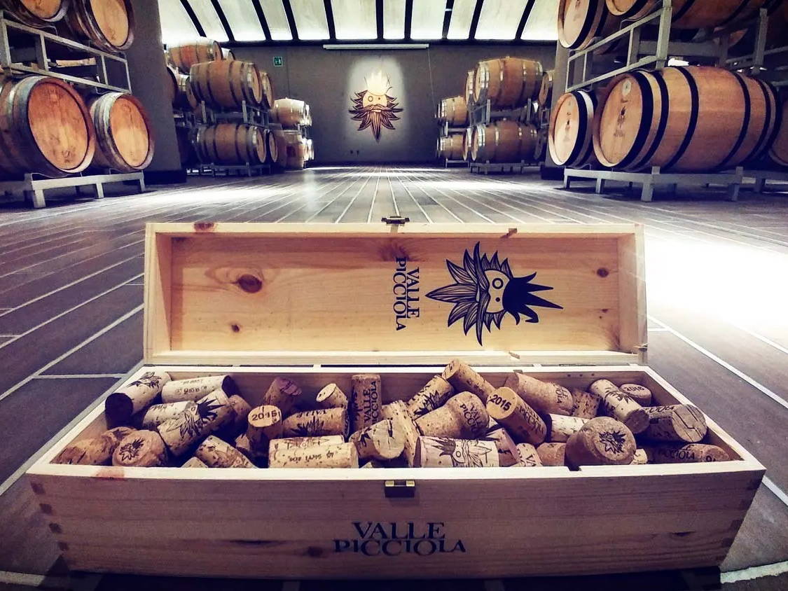 Vallepiccola Italian Wines - Wine Barrels in a Cellar