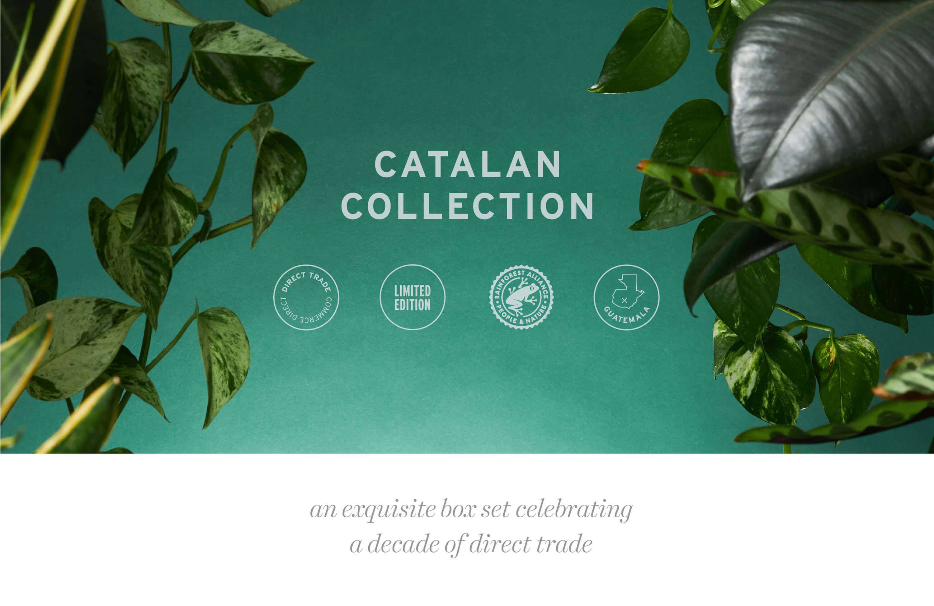 Catalan Collection. An exquisite box set celebrating a decade of direct trade. 