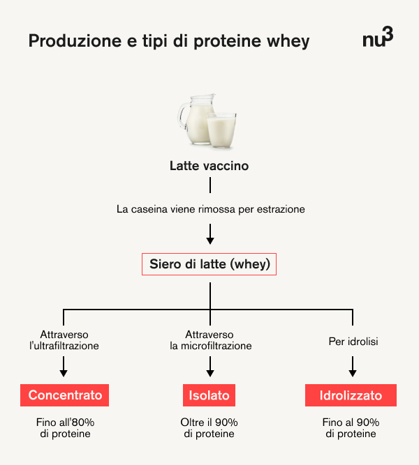 Produzione e tipi di proteine whey