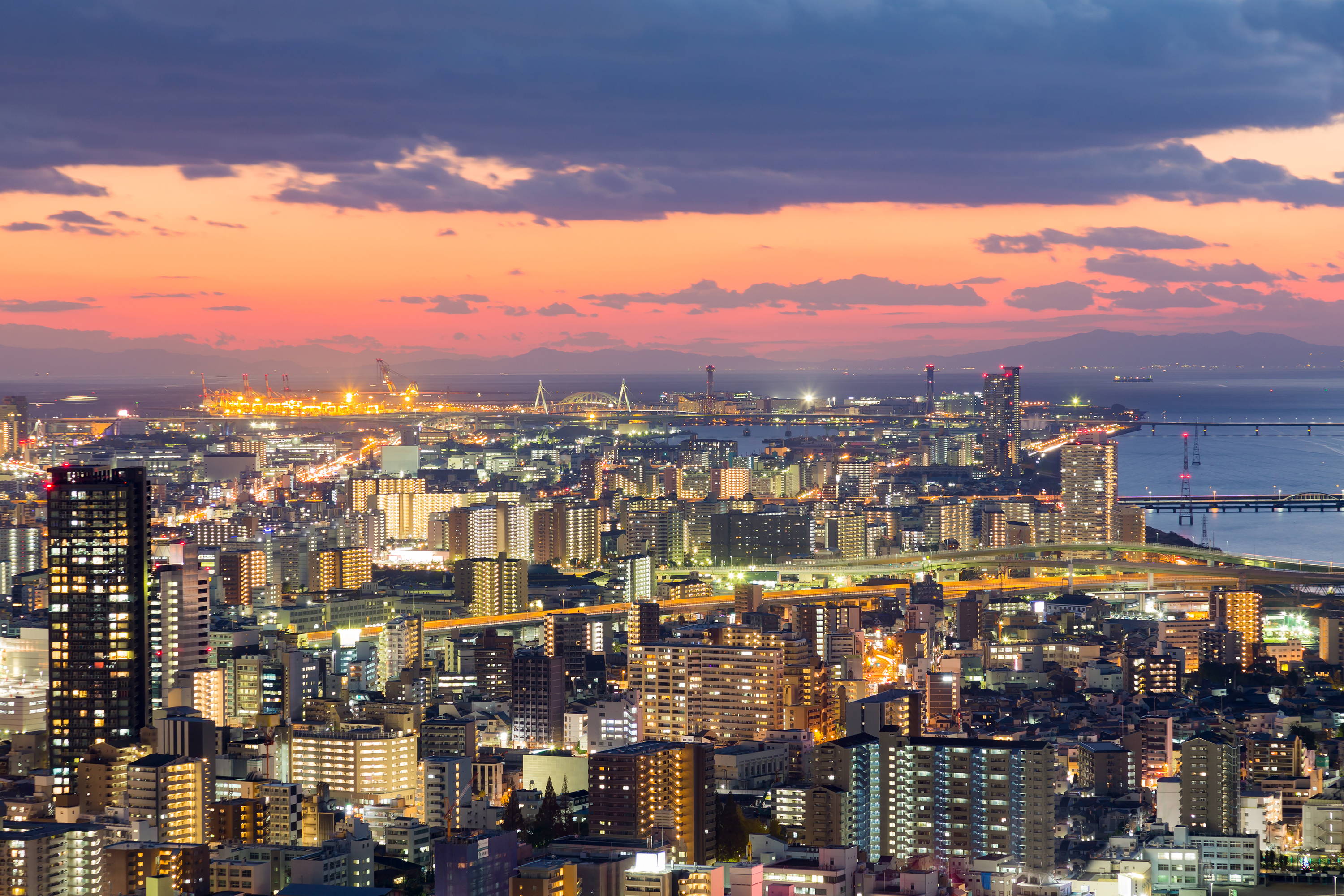 View from Umeda Sky Building