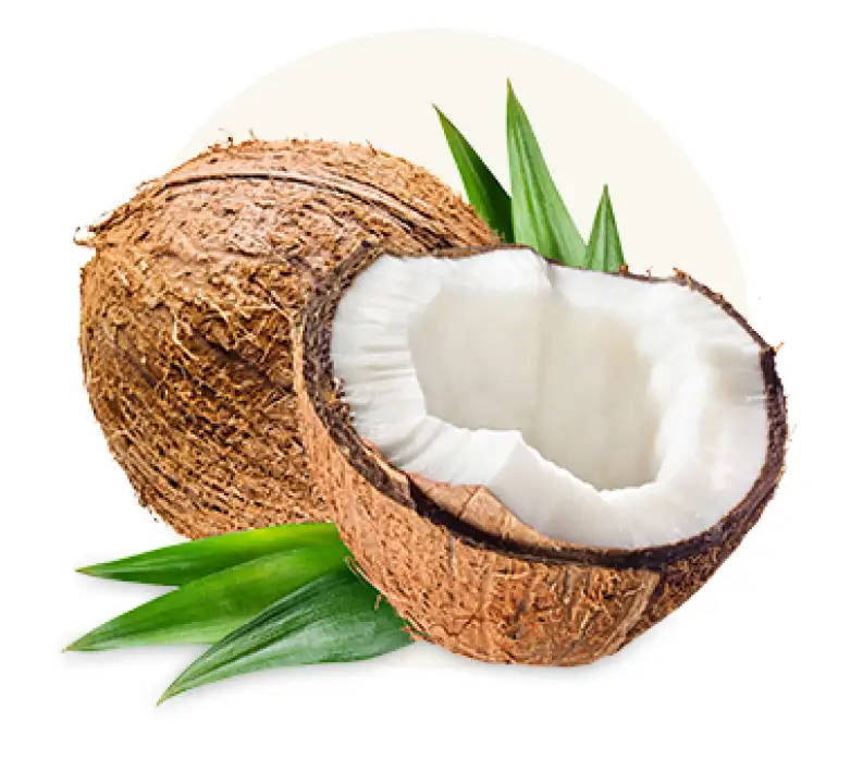 a fresh coconut with one in front split open