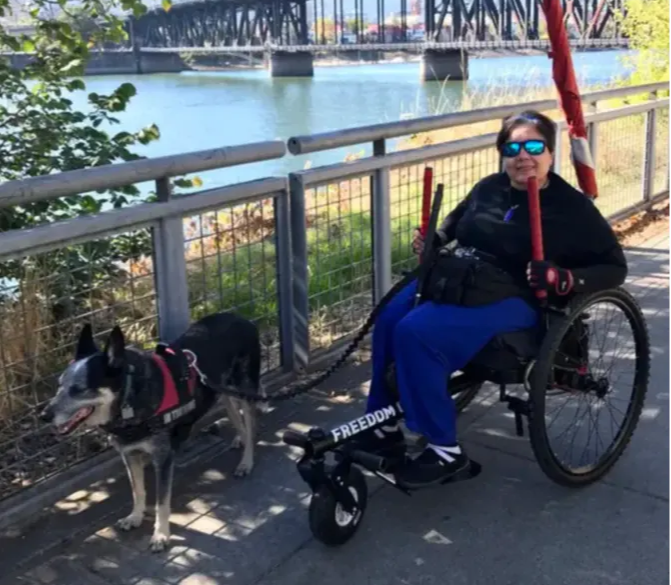 Adult holds levers of GRIT Freedom Chair outdoor wheelchair while using on paved sidewalk along river and walking dog