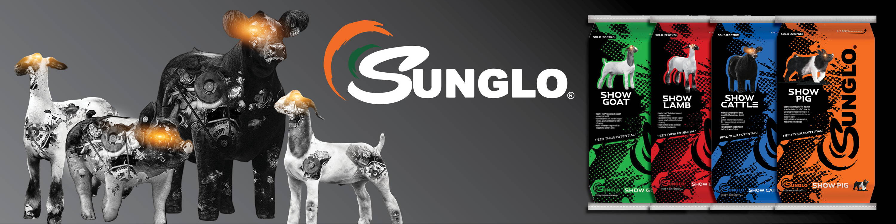 Sunglo show feeds and supplements