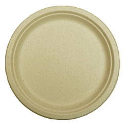 Round biodegradable party plate. Shop all eco friendly party supplies.