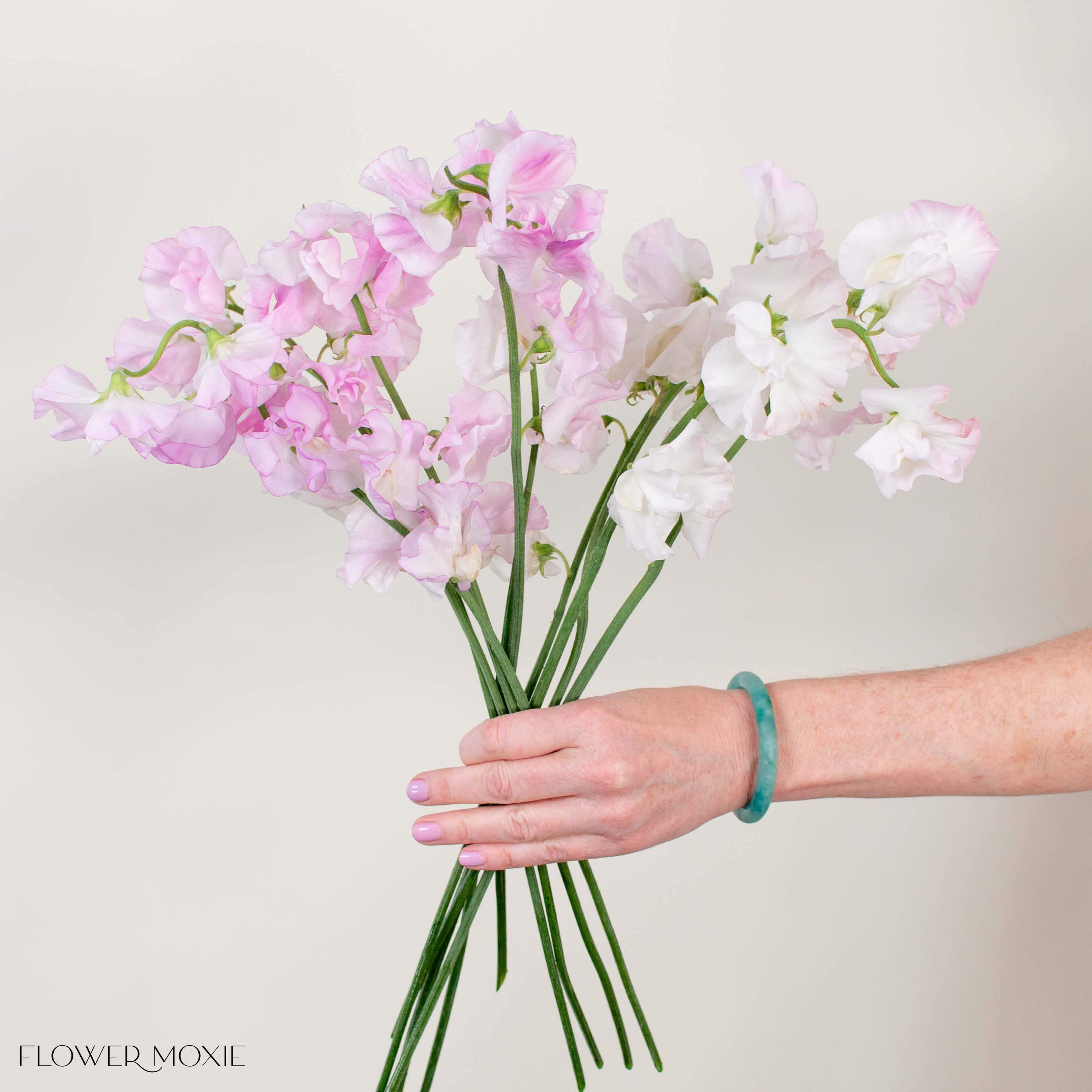 blush sweet peas