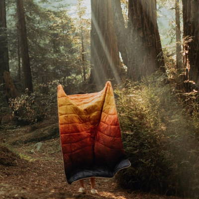 Person in forest holding blanket