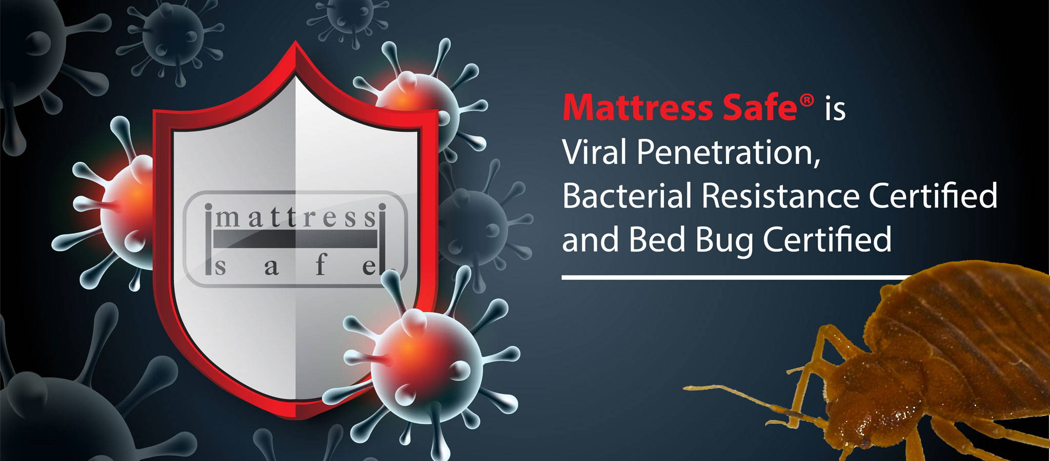 Virel penetration, bacterial resistance and Bed Bug Certified