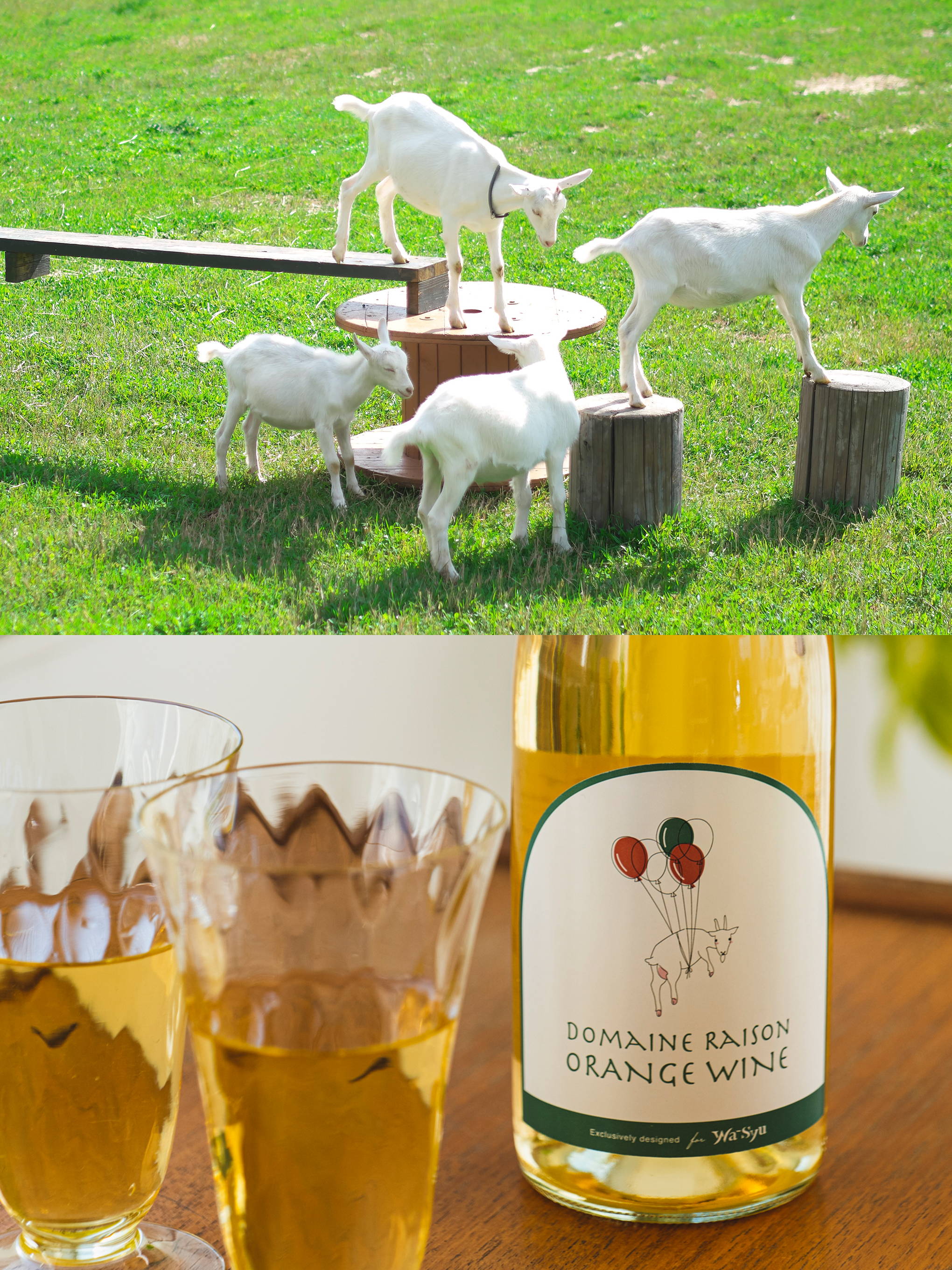 ヤギと共に、サスティナブルなワイン造りを目指す『ドメーヌレゾン』。アイコン的存在のキュートなラベルには、日本ワインらしく和の色を使って。