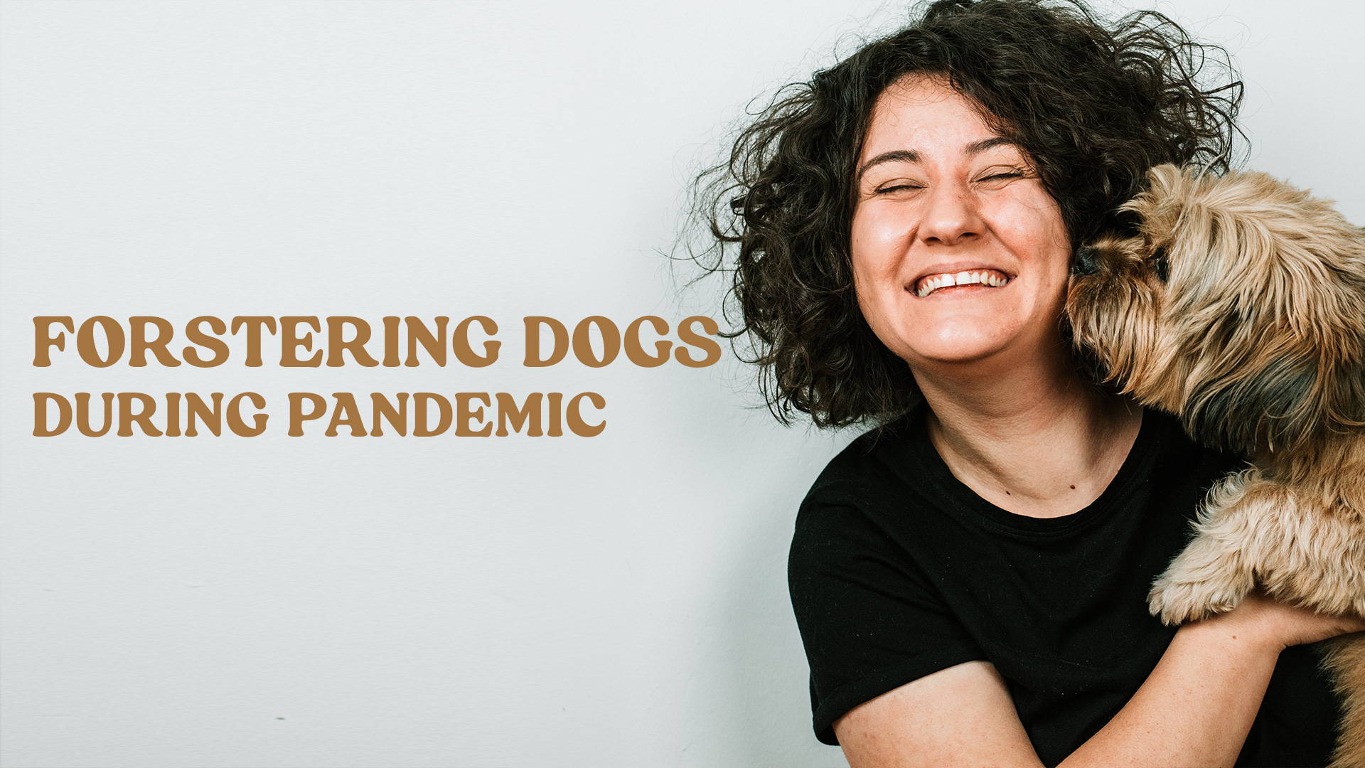 fostering dogs during pandemic