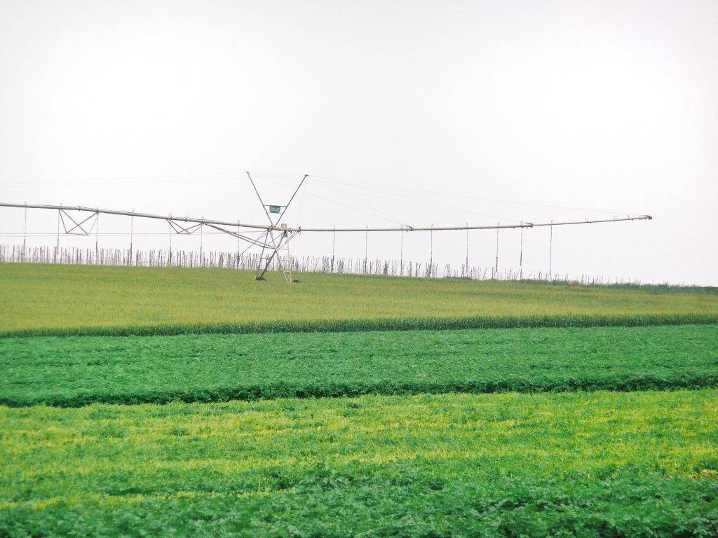 High Quality Organics Express Field Irrigation