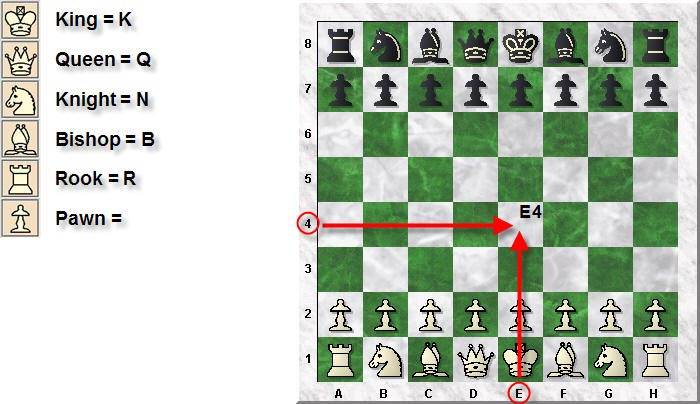 image of chess notation board and pieces