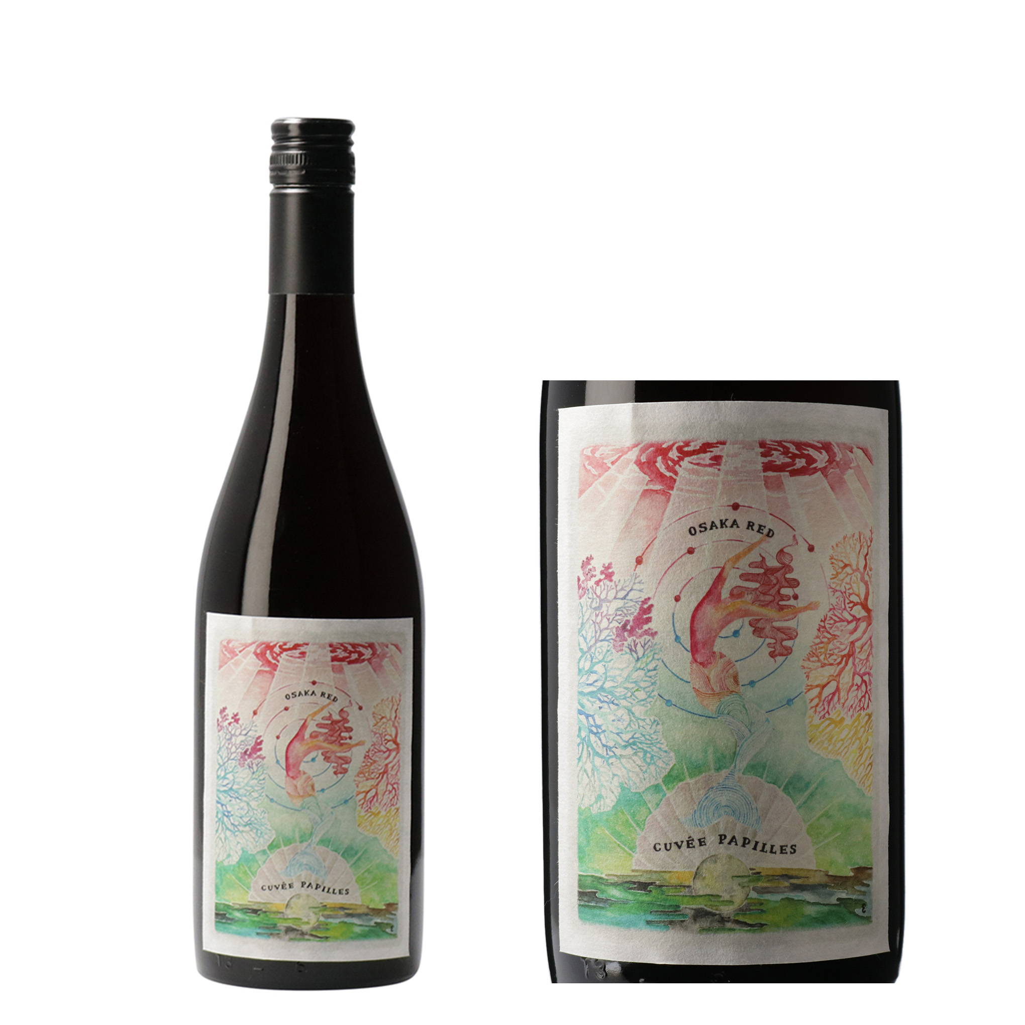 2019年は、フジマル醸造所がワインを造り始めてから10回目のヴィンテージ。『島之内フジマル醸造所』の記念すべき赤ワイン『キュベパピーユ 大阪RED 2019年』。