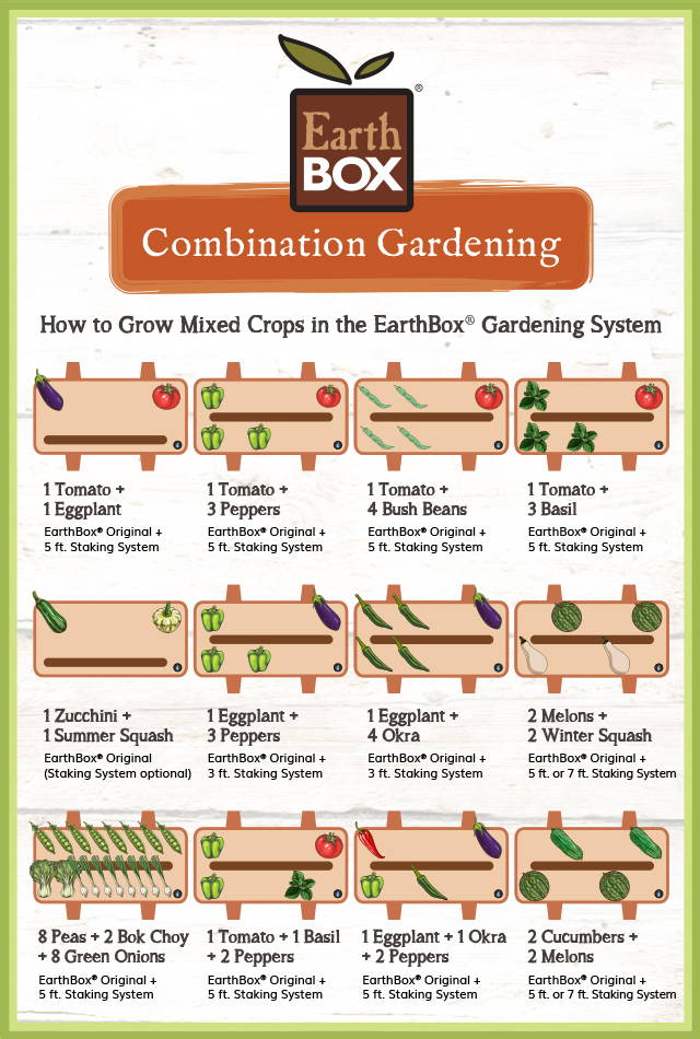 EarthBox combination gardening crop inforgraphic