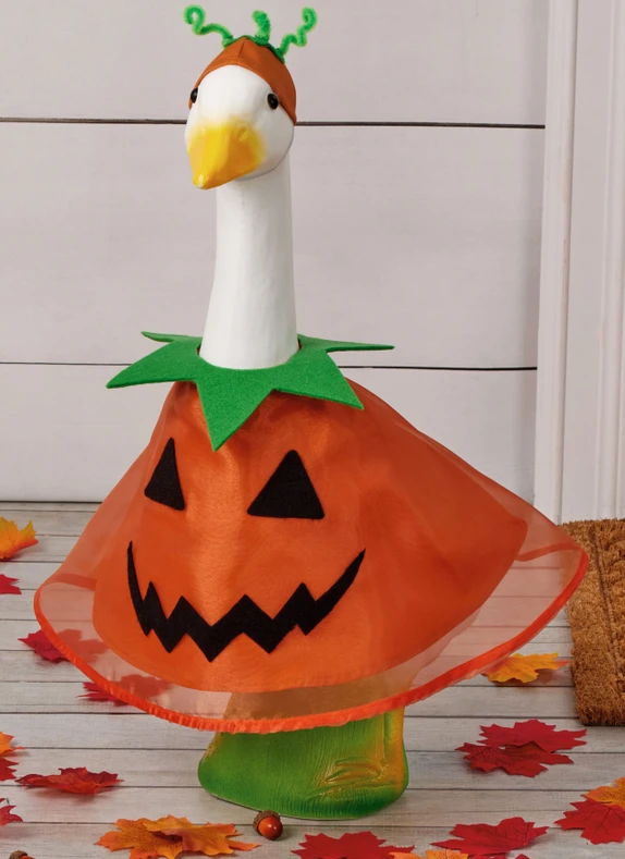 Goose dressed in a pumpkin costume with antennae and a smiling face.