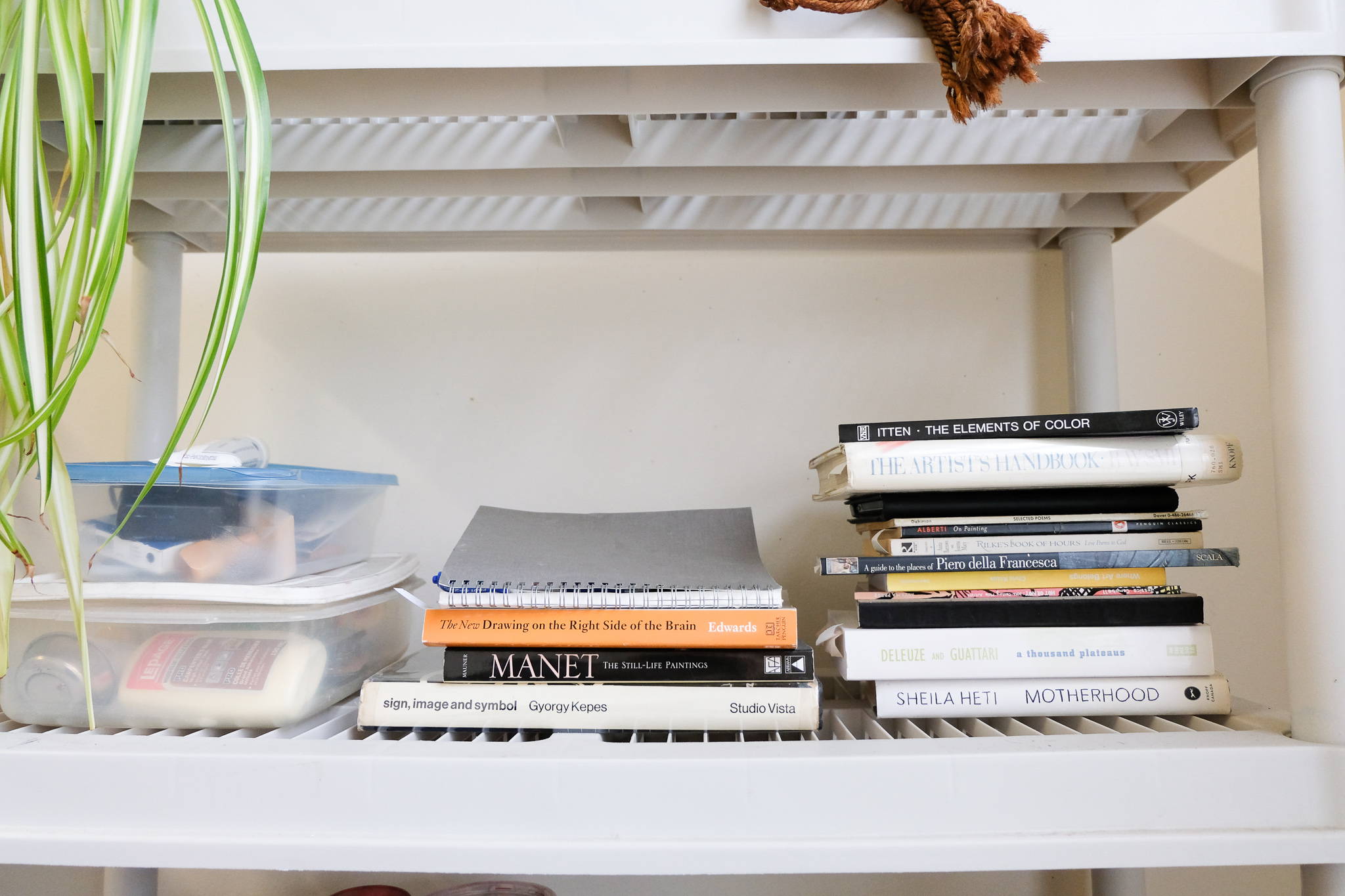 A shelf in Rachel's studio shows books, art supplies, and a plant. 