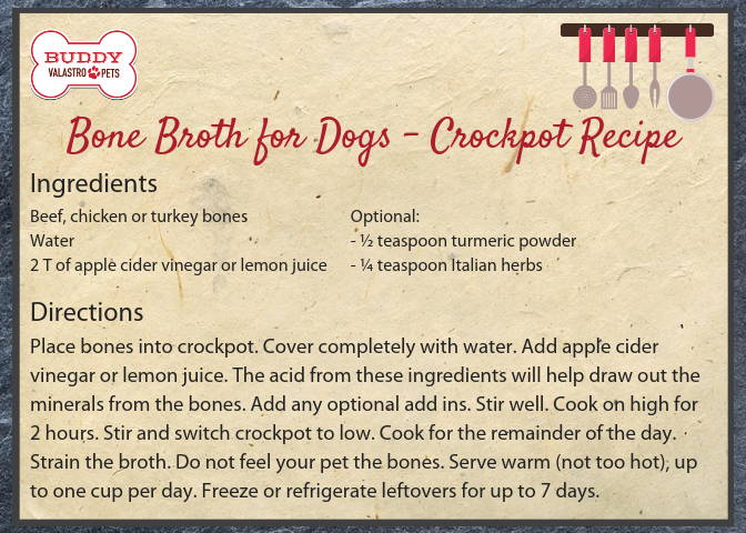 Bone Broth Recipe For Dogs