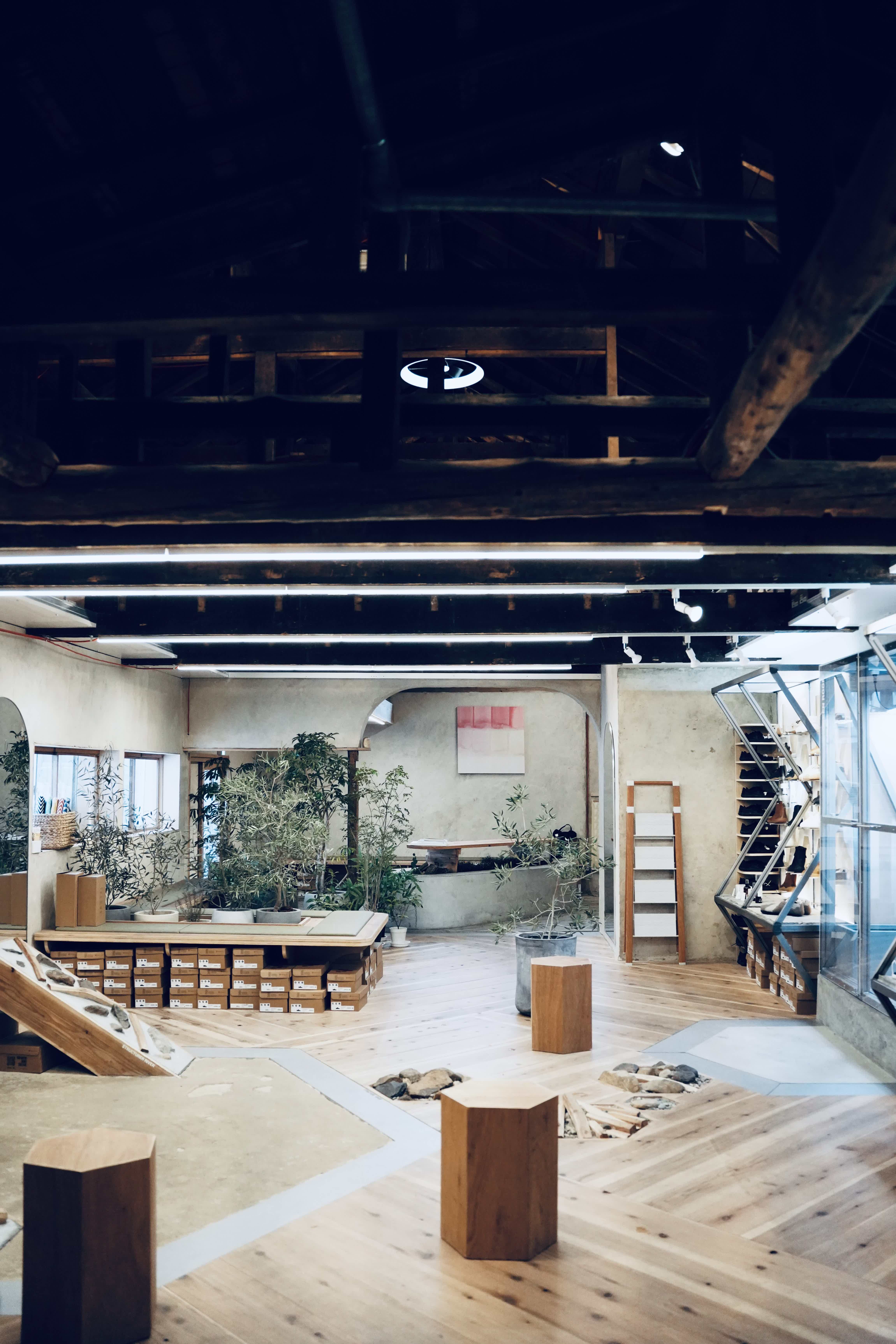 A spacious, modern interior with wooden floors and plants.