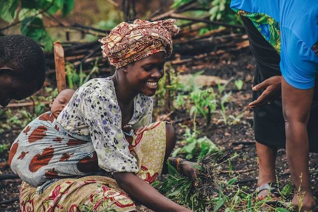 smiling Sierra Leone woman and her baby working in garden with others