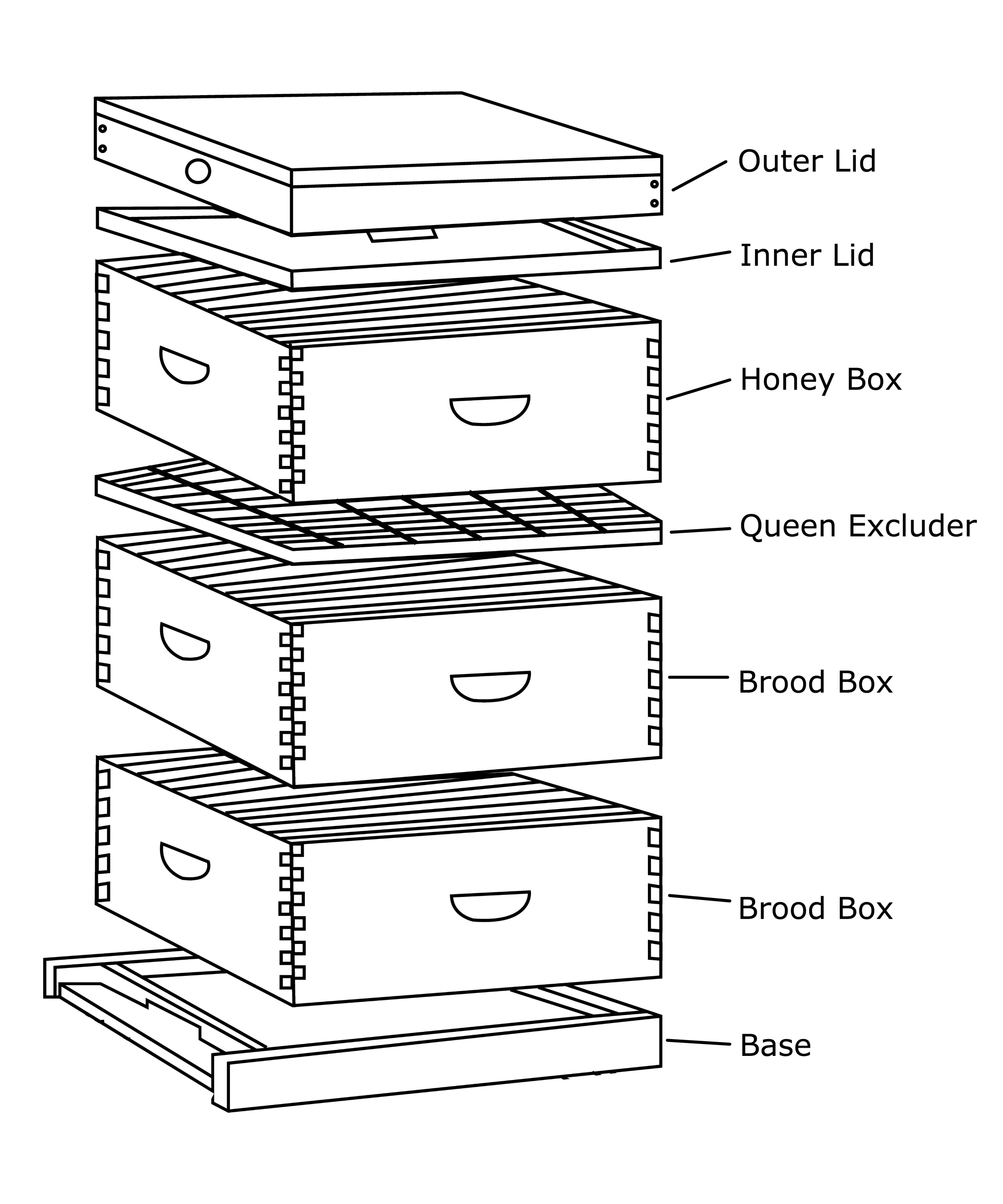 Standard Langstroth Beehive