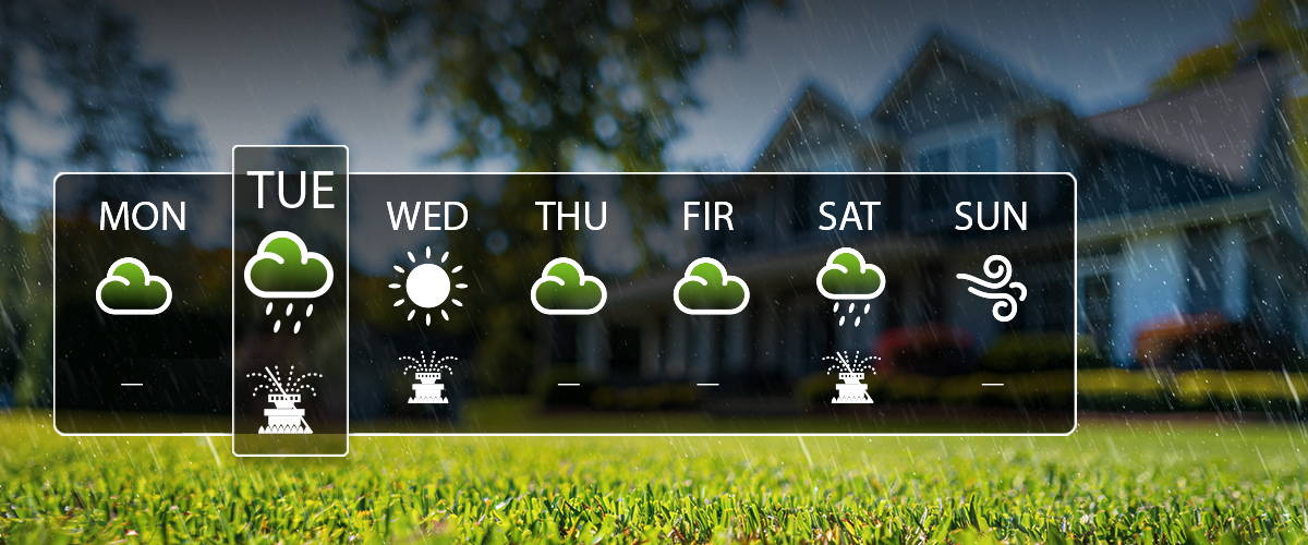 RAINPOINT 8 Zone Smart Sprinkler Controller – Local Weather Based Wifi Sprinkler System Easy Install App Control Irrigation System Controller Water Timer Controller For Yard Lawn8 Zone