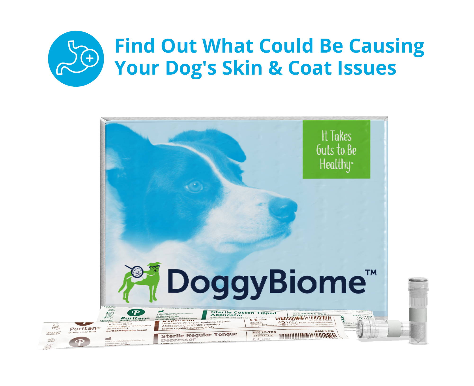 DoggyBiome Gut Health Test for Dogs