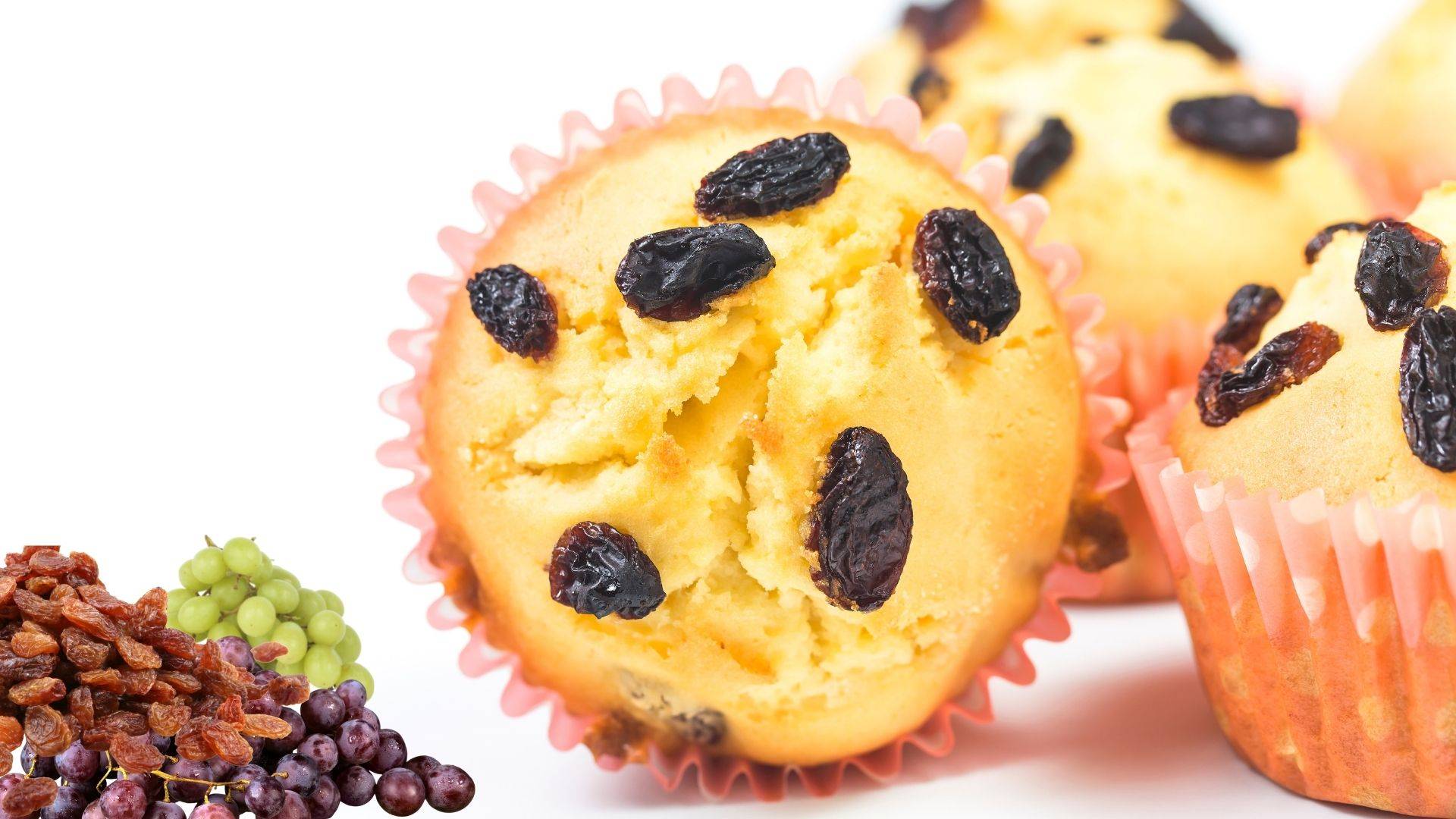 can dogs eat raisin bread