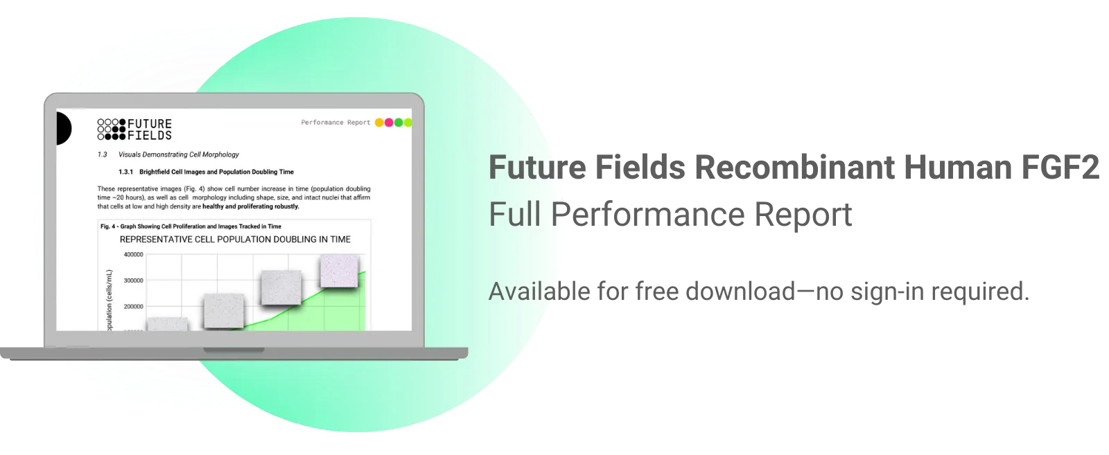 Future Fields Recombinant Human FGF2 performance report preview
