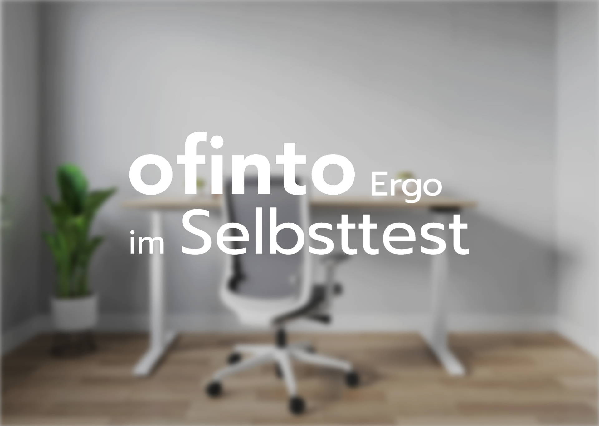 The ofinto Ergo in the Kassensturz office chair self-test