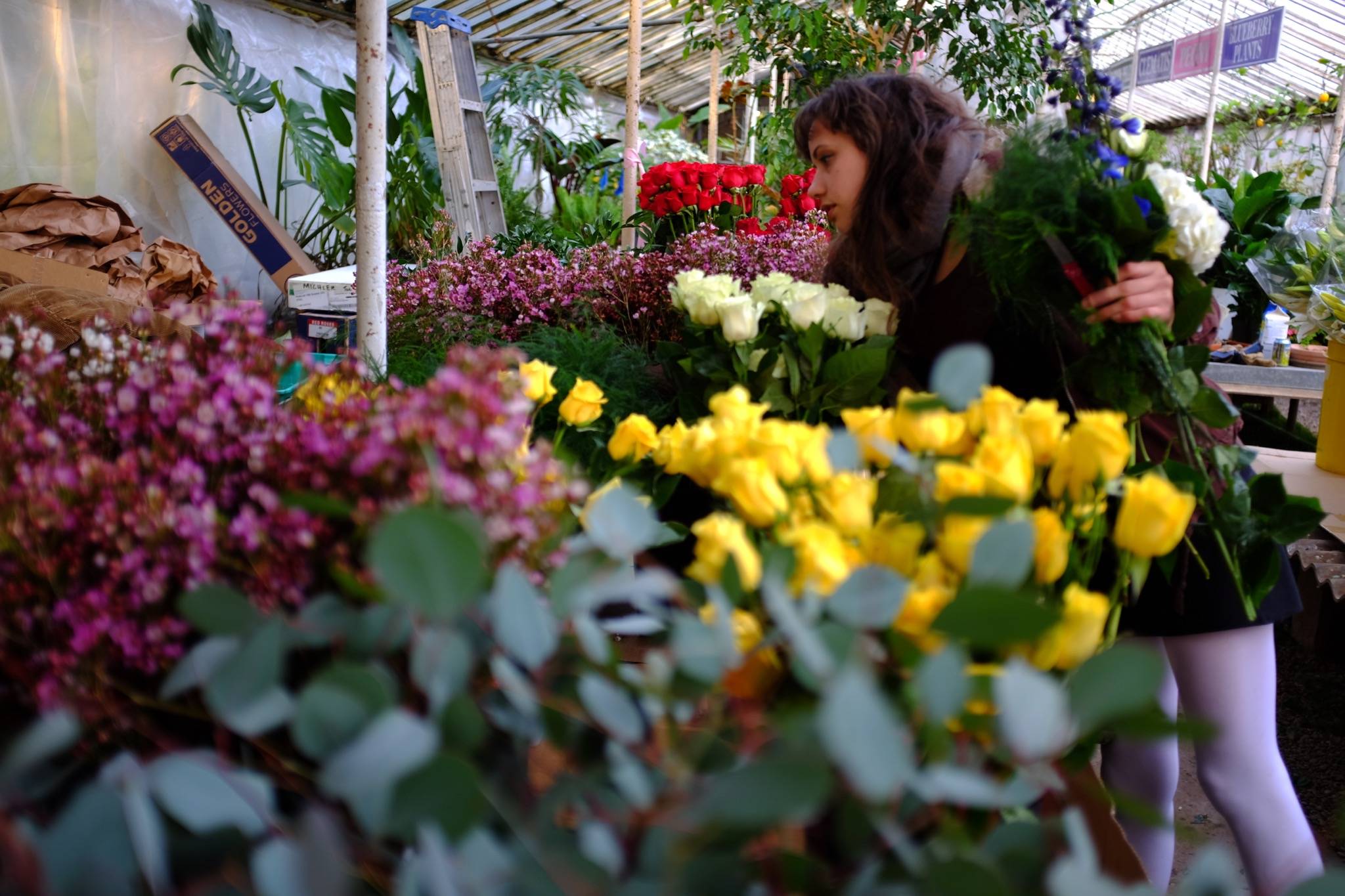 flower delivery service lexington ky