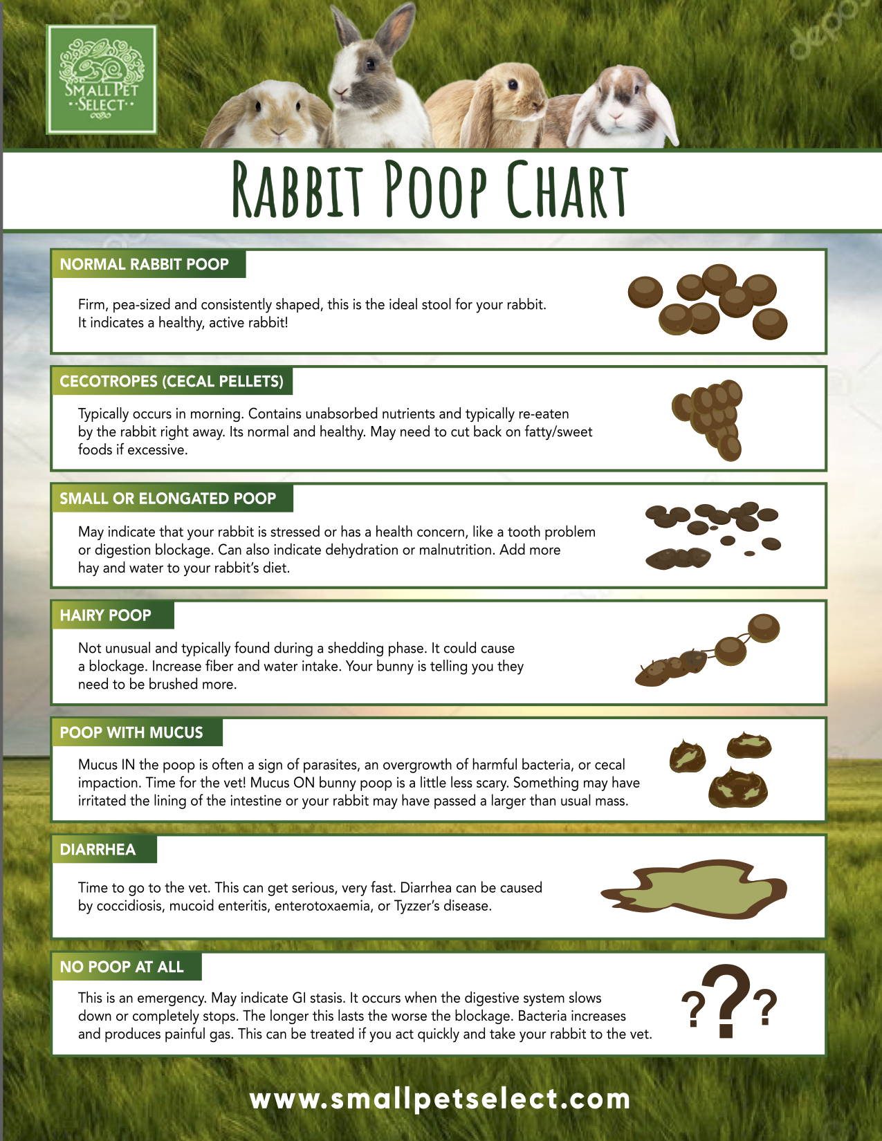 Rabbit Poop Small Pet Select U S 
