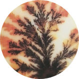 Dendritic Agate color